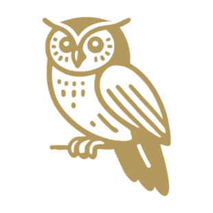 Sticker représentant un hibou stylisé perché sur une branche avec un design graphique noir. - Imitation Or