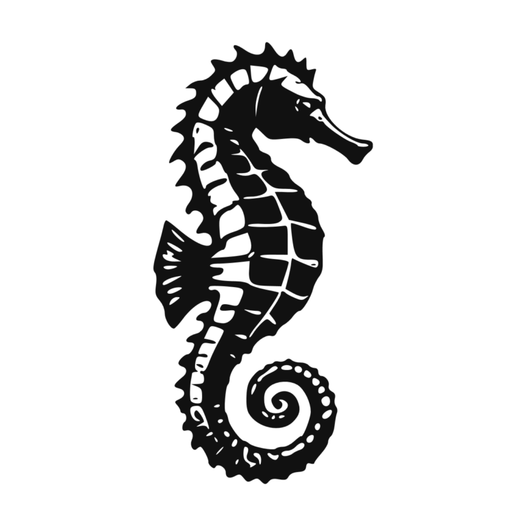 Sticker noir représentant un hippocampe marin détaillé avec une queue en spirale
