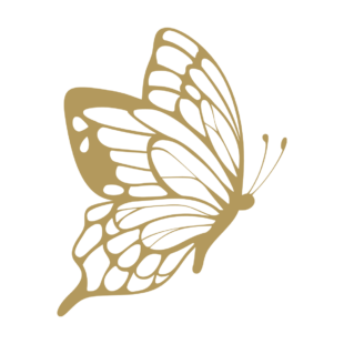 Sticker représentant un papillon stylisé en vol avec des ailes ajourées dans un design graphique noir. - Imitation Or