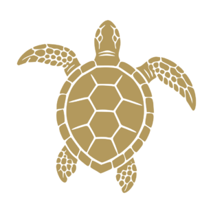 Illustration noire d'une tortue marine vue de dessus. - Imitation Or