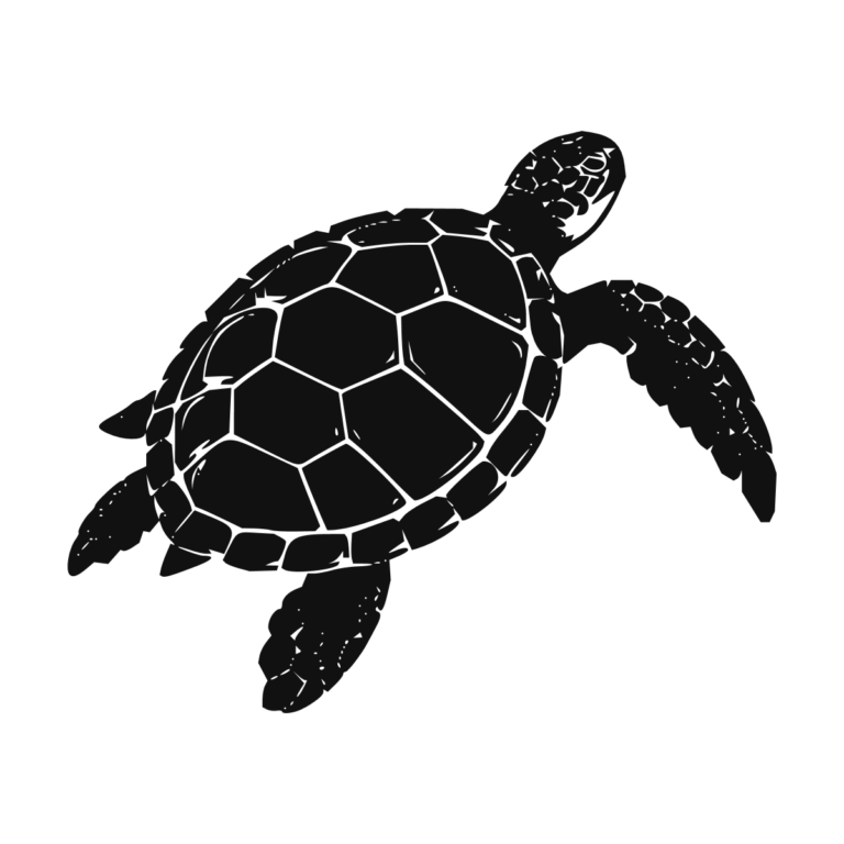 Sticker noir représentant une tortue marine nageant avec les nageoires déployées