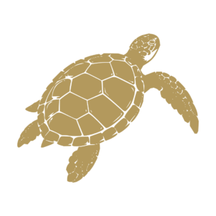 Sticker noir représentant une tortue marine nageant avec les nageoires déployées - Imitation Or