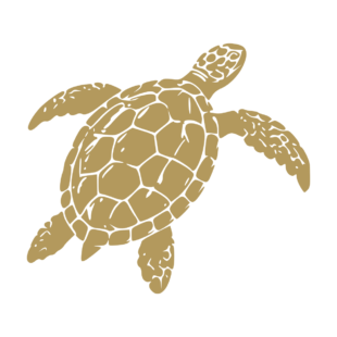 Sticker noir représentant une tortue marine nageant avec ses quatre nageoires déployées - Imitation Or