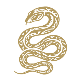 Sticker noir représentant un serpent tribal enroulé avec des motifs décoratifs sur le corps - Imitation Or